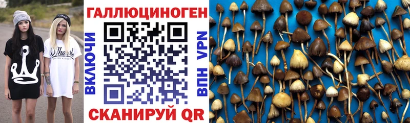 Галлюциногенные грибы прущие грибы  Кодинск 